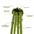 Load image into Gallery viewer, Refill - Signature Matcha – 50g
