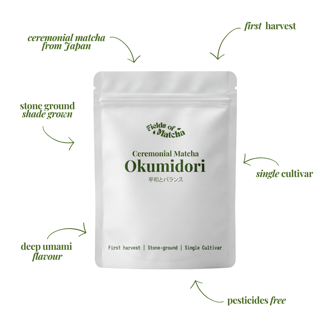 Okumidori Matcha - 50g – Fields of Matcha